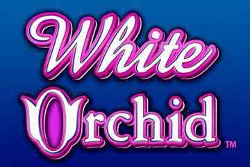 White Orchid Slots, Real Money Slot Machine & Free Play Demo.